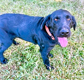 Photo of Sammy