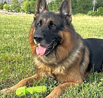 Photo of Uraso