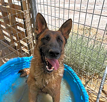 Photo of Murphy
