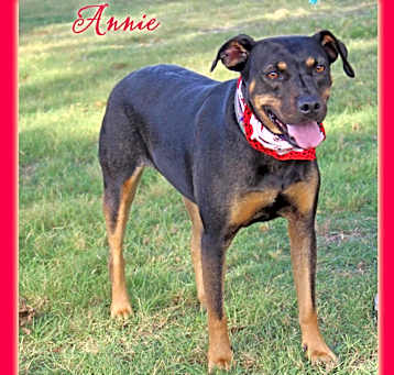 Photo of Annie