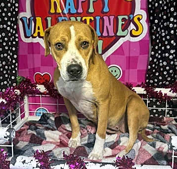 Photo of Junie
