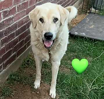 Photo of Charlie