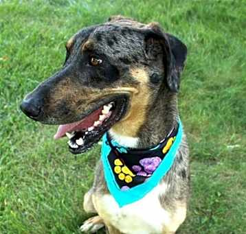 Photo of Rocky II