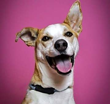 Photo of Rudy