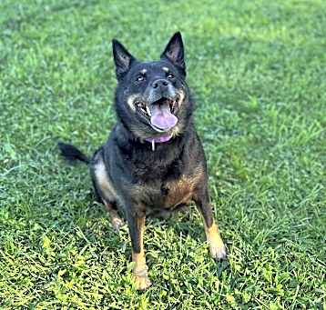 Photo of Bella