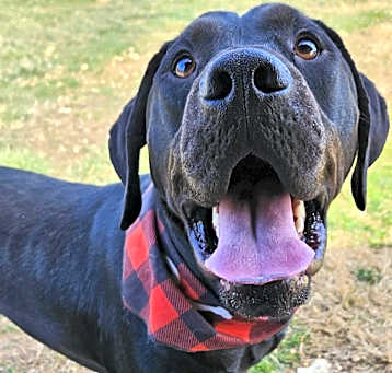 Photo of Sanford