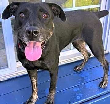 Photo of Bindi