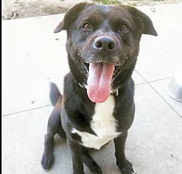 Photo of Sage