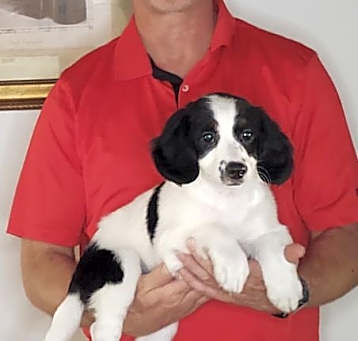 Photo of Zoey