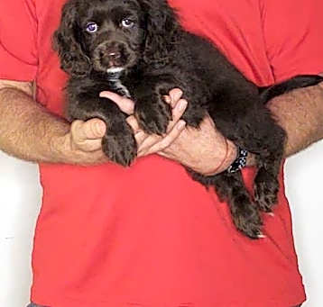 Photo of Champ