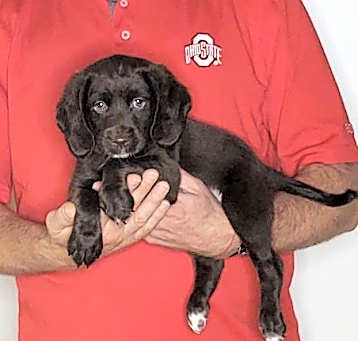 Photo of Clyde