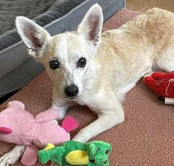 Photo of Polly