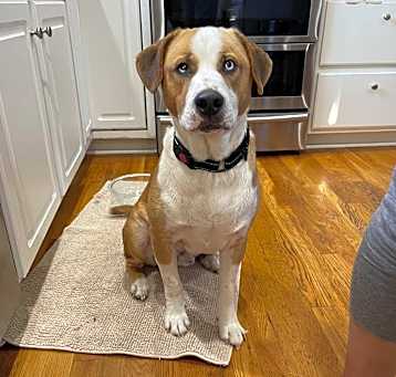 Photo of Gunther