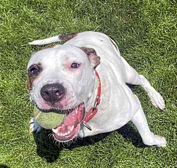 Photo of Debo