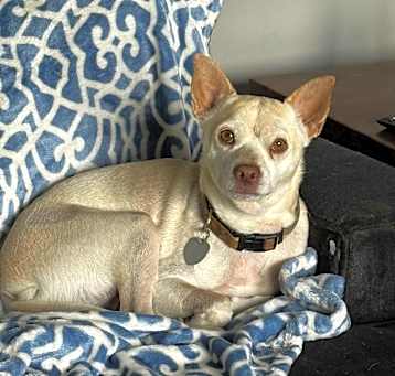 Photo of Little Andy