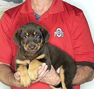 Photo of Maggie