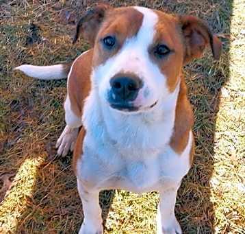 Photo of Jasmine
