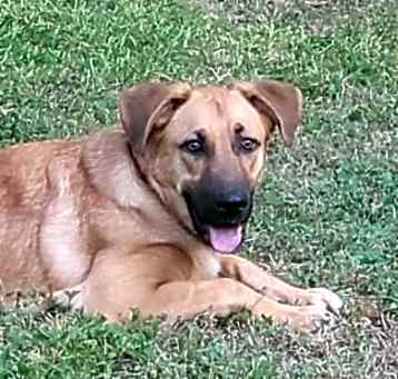 Photo of Max
