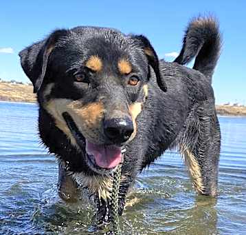 Photo of Ruby