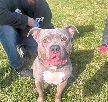 Photo of Tyson