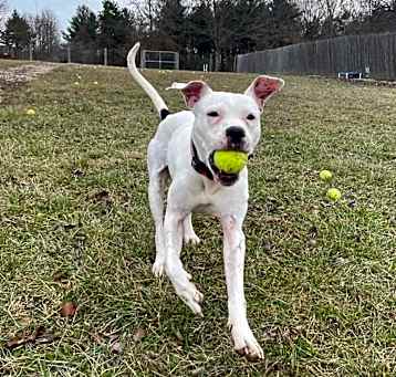 Photo of Maze