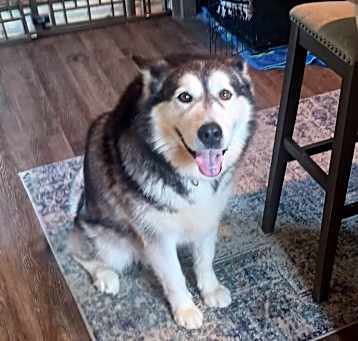 Photo of Jasmine