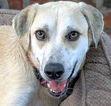Photo of Kiara