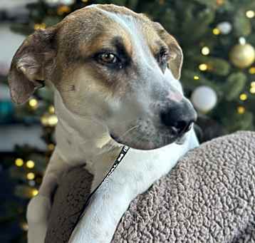 Photo of Laverne