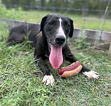 Photo of Finn