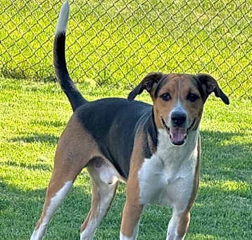 Photo of Kevin (Foster Home)