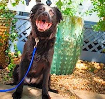 Photo of OSO