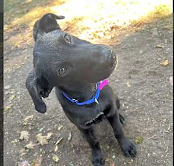 Photo of Cash