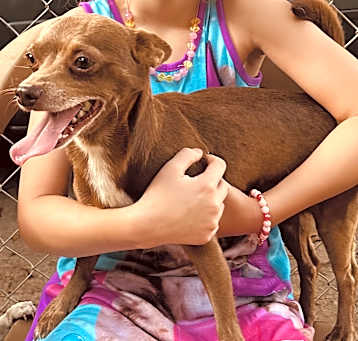 Photo of Bambi