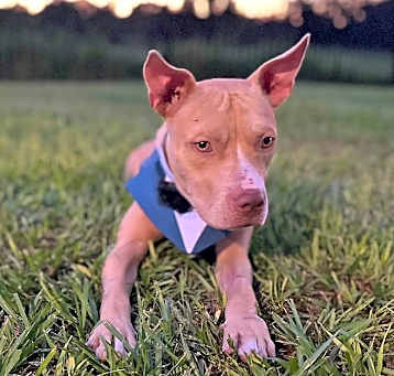 Photo of Cash