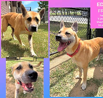 Photo of Edna