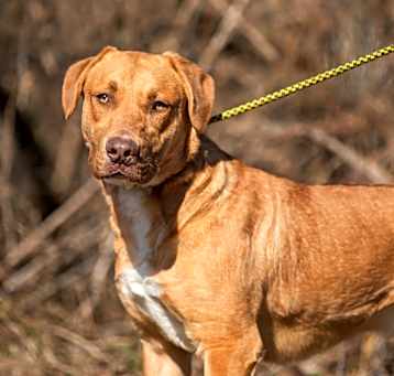 Photo of Thaddeus