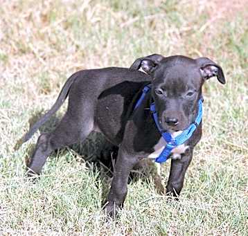 Photo of Shirley