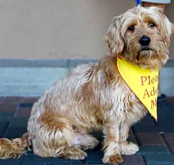 Photo of Finnegan