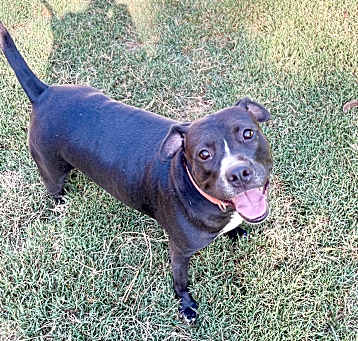 Photo of Lucy