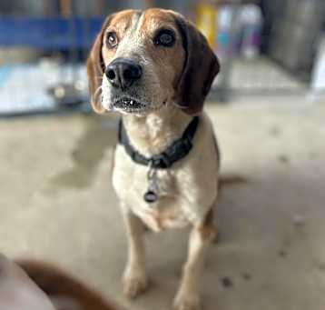 Photo of Tracker
