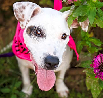 Photo of Penelope