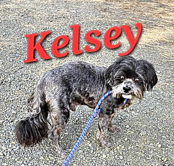 Photo of Kelsey