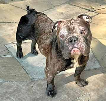Photo of LOLA