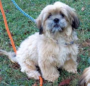 Photo of COOPER  sb