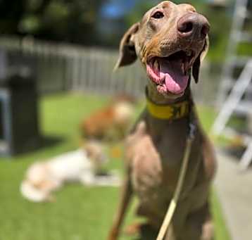 Photo of Marley Mae