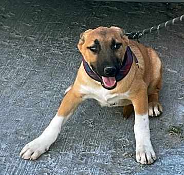 Photo of Toto