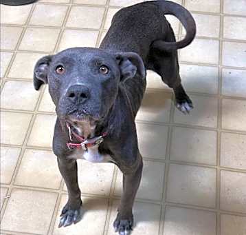 Photo of Maggie