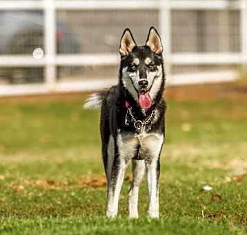 Photo of Lulu