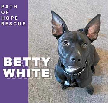 Photo of Betty White