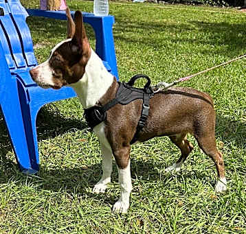 Photo of Hazel